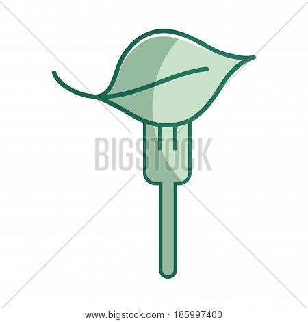 silhouette fresh leaf to prepair natural salad, vector illustration