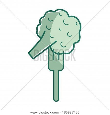 silhouette fresh broccoli to prepair natural salad, vector illustration