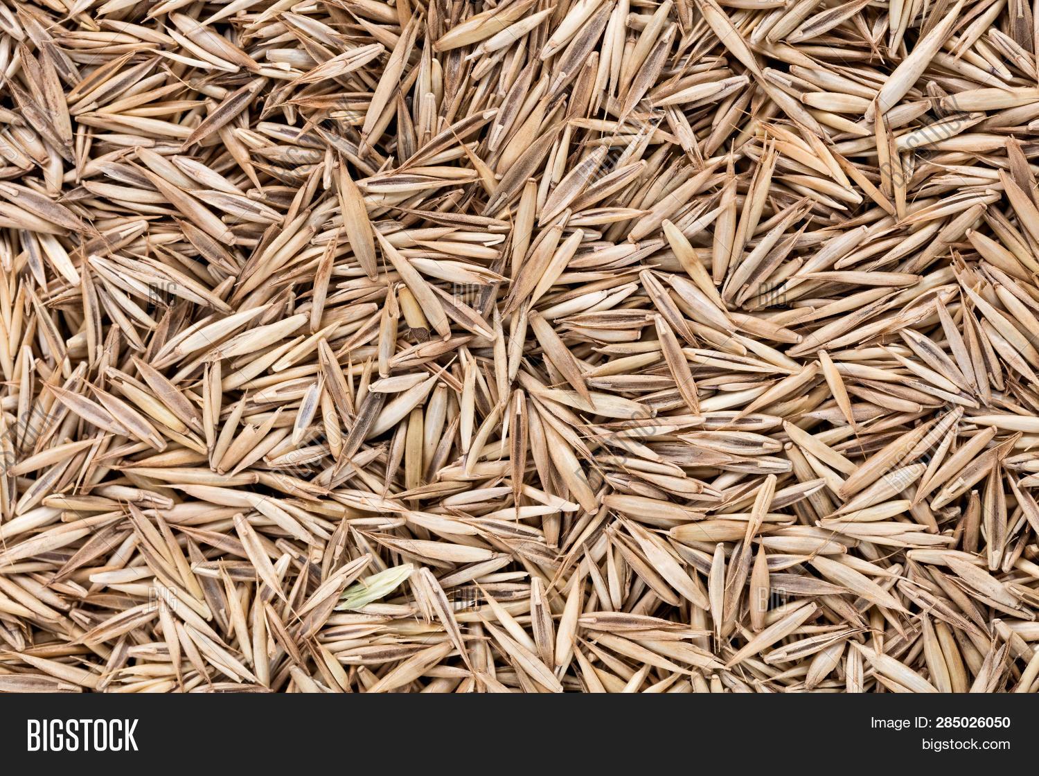 High Quality Seeds Image & Photo (Free Trial) Bigstock