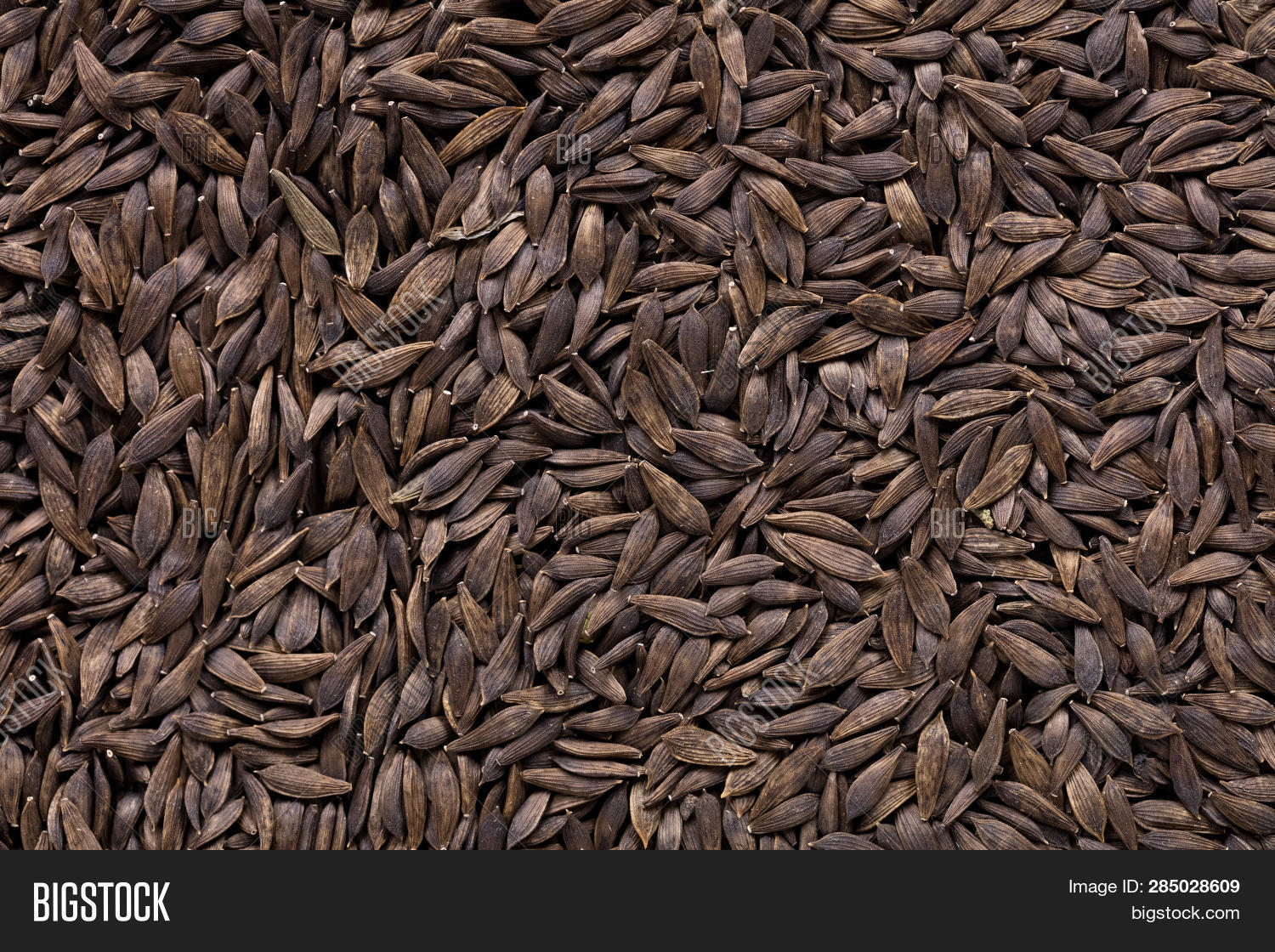 High Quality Seeds Image & Photo (Free Trial) Bigstock