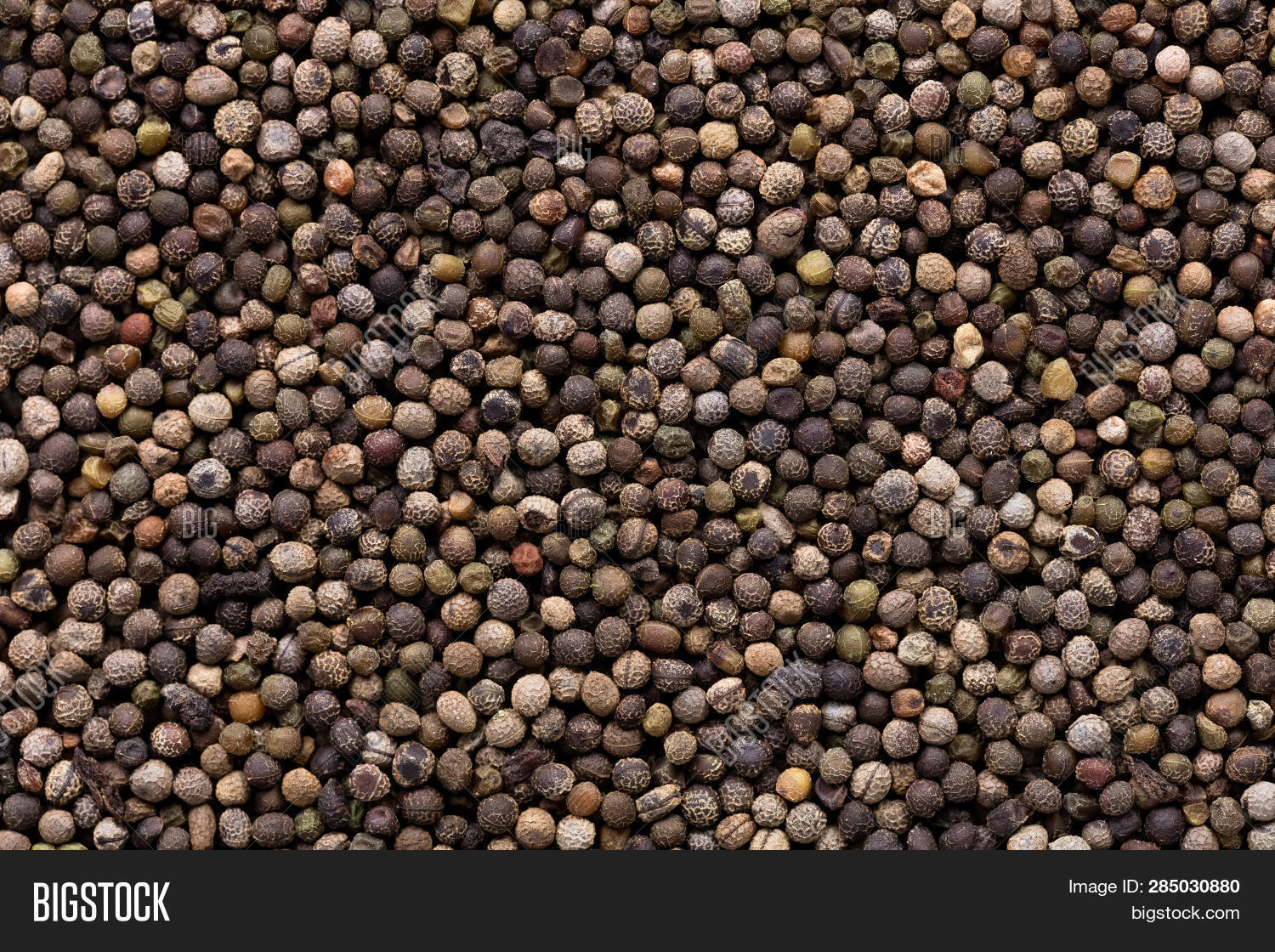 High Quality Seeds Image & Photo (Free Trial) Bigstock