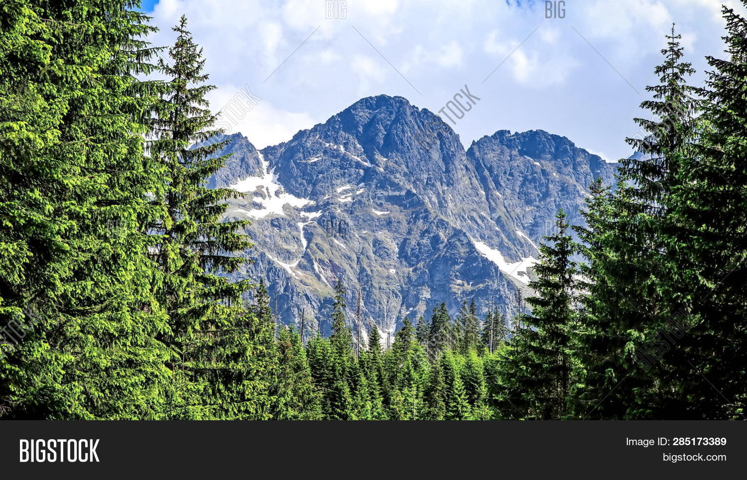 Taiga Mountains. Wild Image & Photo (Free Trial) Bigstock