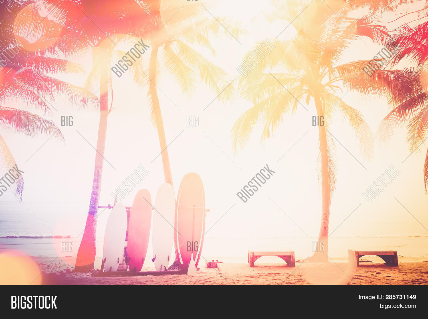 Surfboard Palm Tree On Image & Photo (Free Trial) | Bigstock