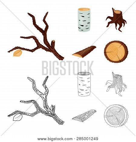 Vector Design Of Tree   And Raw  Sign. Collection Of Tree   And Construction Vector Icon For Stock.