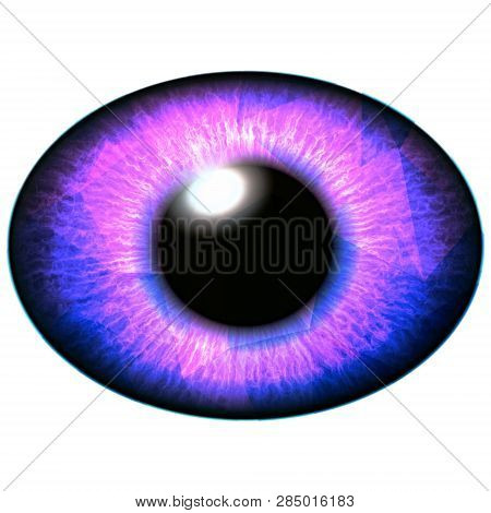 Red Purple Eye Image & Photo (Free Trial) | Bigstock