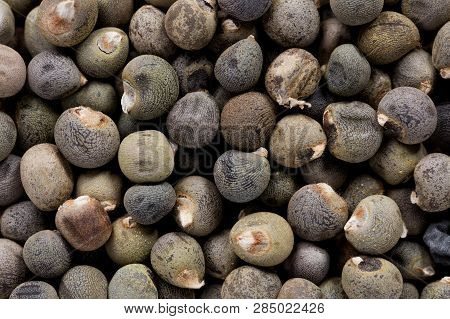 High Quality Seeds Of Bamia, Vegetable In A Texture Form For Your Beautiful Garden. Can Be Used By S