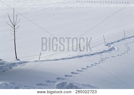 Winter Landscape On The Plateau Of Vercors In French Alps