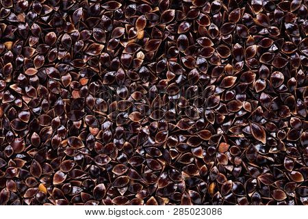 High Quality Seeds Of Sorrel, In A Texture Form For Your Personal Green Garden. Can Be Used By Seed 