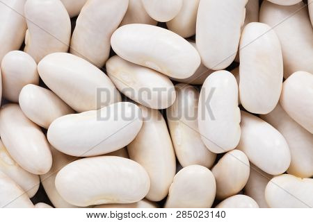 High Quality Seeds Of Phaseolus, Legumes In A Texture Form For Your Personal Green Garden. Can Be Us