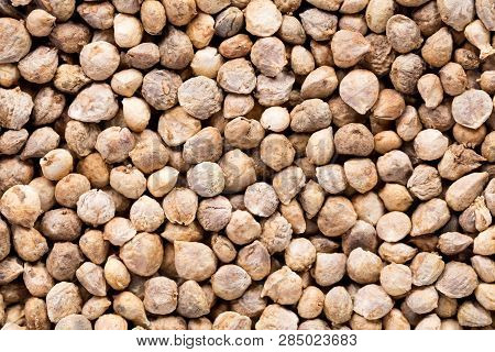 High Quality Seeds Of Spinach, In A Texture Form For Your Unique Garden. Can Be Used By Seed Produce