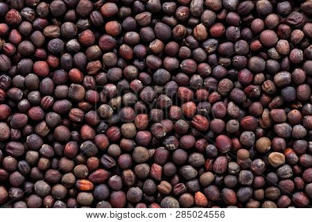 High Quality Seeds Of Cabbage, Vegetable In A Texture Form For Your Unique Garden. Can Be Used By Se