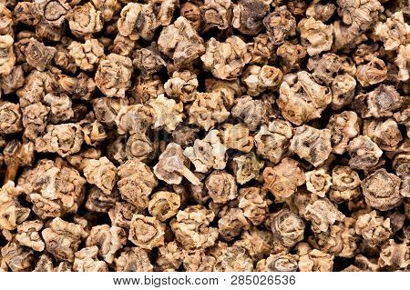High Quality Seeds Of Beet, Vegetable In A Texture Form For Your Green Garden. Can Be Used By Seed P