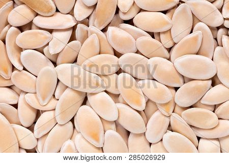 High Quality Seeds Of Melon, Pumpkin In A Texture Form For Your Garden. Can Be Used By Seed Producer