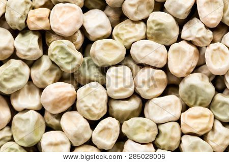 High Quality Seeds Of Peas, In A Texture Form For Your Perfect Garden. Can Be Used By Seed Producers