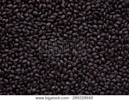 High Quality Seeds Of Basil, In A Texture Form For Your Unique Garden. Can Be Used By Seed Producers