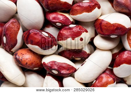 High Quality Seeds Of Red Cap Beans, Legumes In A Texture Form For Your Beautiful Garden. Can Be Use