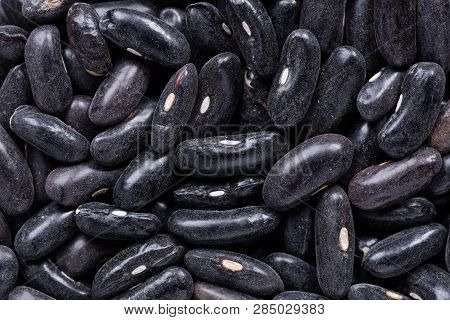 High Quality Seeds Of Asparagus Black Beans, In A Texture Form For Your Beautiful Garden. Can Be Use