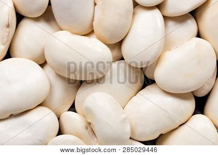 High Quality Seeds Of Eureka Beans, Legumes In A Texture Form For Your Beautiful Garden. Can Be Used