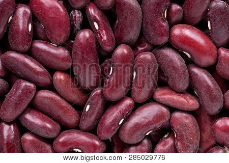 High Quality Seeds Of Beans In Violet Color, Legumes In A Texture Form For Your Beautiful Garden. Ca