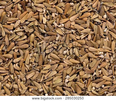 High Quality Seeds Of Valeriana Officinalis, In A Texture Form For Your Beautiful Garden. Can Be Use