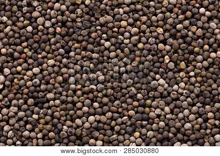 High Quality Seeds Of Beautiful Eschscholzia, Flower In A Texture Form For Your Personal Garden. Can