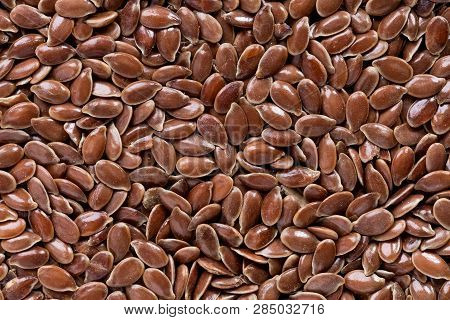 High Quality Seeds Of Gentle Linum, Flower In A Texture Form For Your Personal Garden. Can Be Used B