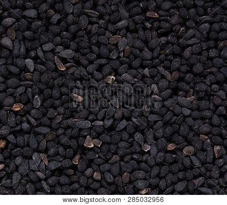High Quality Seeds Of Contrast Nigella, Flower In A Texture Form For Your Personal Garden. Can Be Us