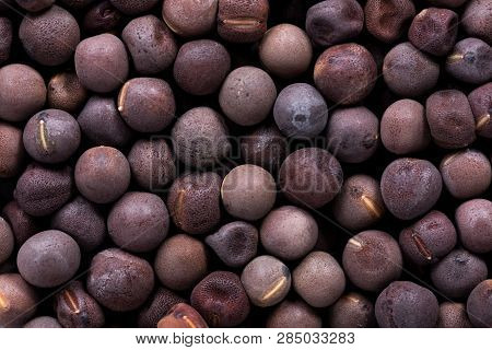 High Quality Seeds Of Lathyrus Odoratus, In A Texture Form For Your Personal Garden. Can Be Used By 