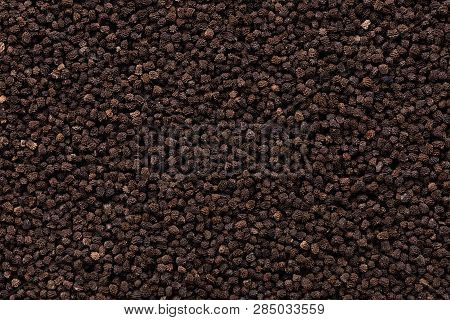 High Quality Seeds Of Antirrhinum, Unusual Flower In A Texture Form For Your Personal Garden. Can Be