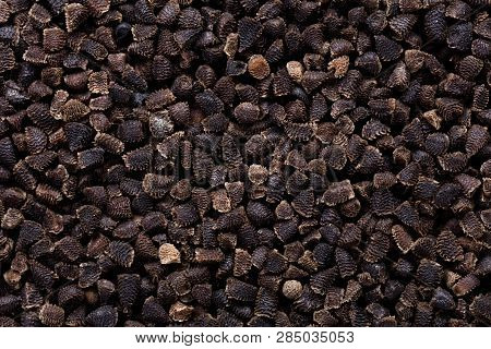 High Quality Seeds Of Delphinium, Flower In A Texture Form For Your Adorable Garden. Can Be Used By 
