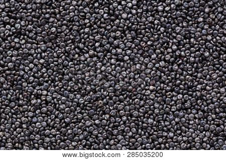 High Quality Seeds Of Purslane, Flower In A Texture Form For Your Adorable Garden. Can Be Used By Se