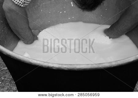 Cheesemaker Showing The Proceeding To Make Cheese From The Milk