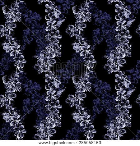 Hand Drawn Charcoal Pencil Illustration Flowers Of The Gray And Dark Blue Pulm Blossoms And Transluc