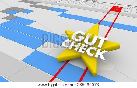 Gut Check Review Opinion Feedback Gantt Chart 3d Illustration