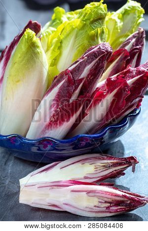 Group Of Fresh Green Belgian Endive Or Chicory And Red Radicchio Vegetables, Also Known As Witlof Sa