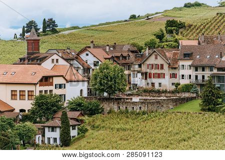 Vineyard Terraces At Lake Geneva In Spring, Rivaz, Lavaux, Vaud, Switzerland