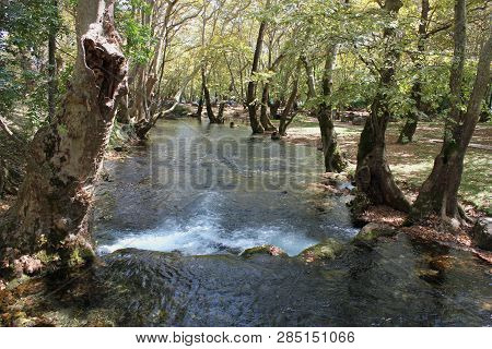 Agios Nikolaos Park Naousa Greece Europe