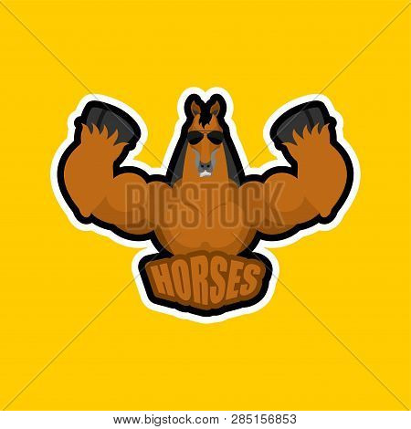 Horses Sport Logo. Steed Sports Team Club Emblem. Animal Mascot Gaming Sign. Strong Horse Beast Symb