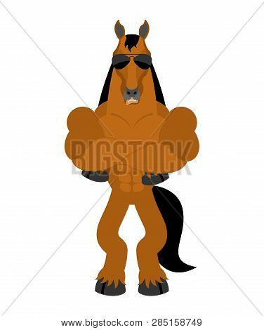Horse Strong Cool Serious. Hoss Strict. Vector Illustration