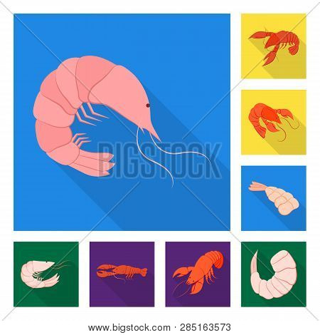 Vector Illustration Of Appetizer And Seafood Logo. Set Of Appetizer And Ocean Vector Icon For Stock.