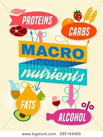 Main Food Groups - Macronutrients. Carbohydrates, Fats, Proteins, Alcohol. Dieting, Healthcare And E
