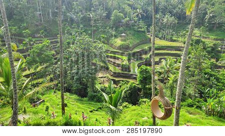 Tegalalang Rice Terraces In Ubud, Bali. Tegalalang Rice Terrace Is One Of The Famous Tourist Objects