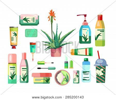 Aloe Products Set. Natural Body Care Products Collection. Can Be Used For Topics Like Skin Care, Cos