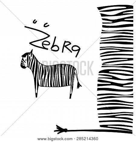 Zebra Pattern With White Background. Vector Illustration