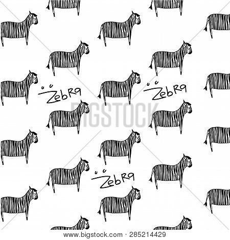 Zebra Pattern With White Background. Vector Illustration Eps 10