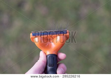 De-shedding Tool With Dog Hairs And A Human Hand