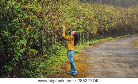Asian Tourist Nature, Relaxing Enjoying The Fresh Beauty Of Flower. She Smiled And Hand Picked Bua T