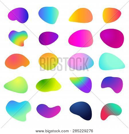 Abstract Vector Fluid Bright Gradient Iridescent Shapes