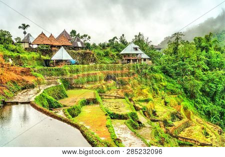 Banaue Village On Luzon Island - Ifugao, Philippines