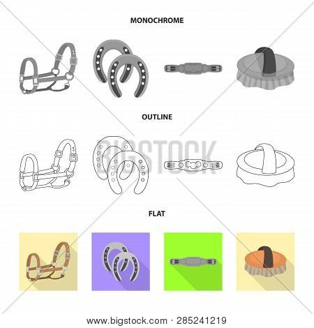 Isolated Object Of Equipment And Riding Icon. Set Of Equipment And Competition Vector Icon For Stock